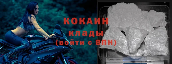 шишки Беломорск