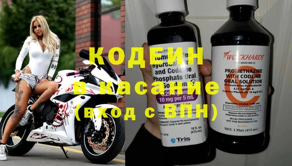 шишки Беломорск
