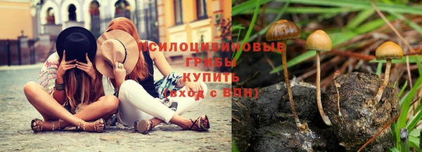 трава Белоозёрский