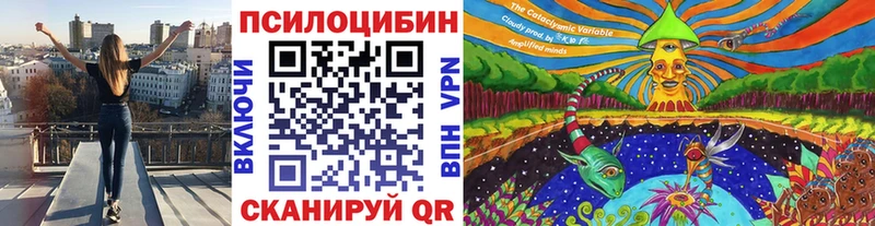 Галлюциногенные грибы Psilocybe  купить наркотик  гидра ONION  Ставрополь 